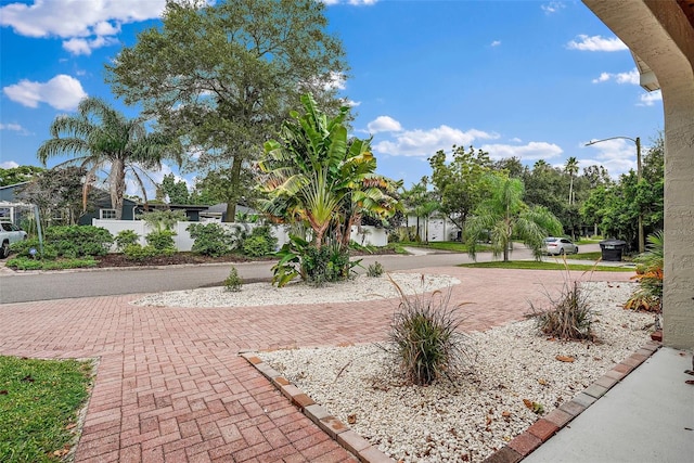 1740 51st St N, Saint Petersburg, FL 33710 - photo 3