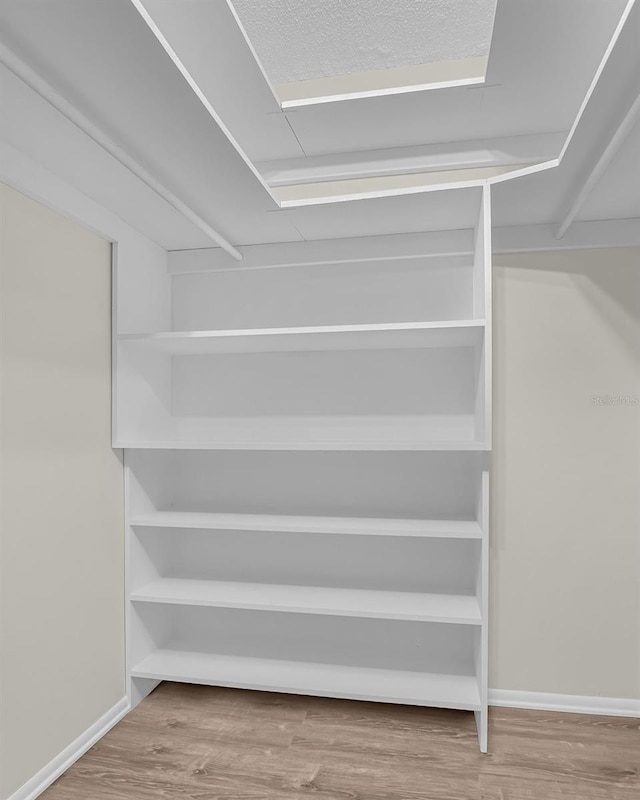 walk in closet featuring hardwood / wood-style flooring