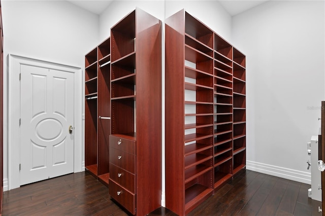 walk in closet featuring dark wood-type flooring