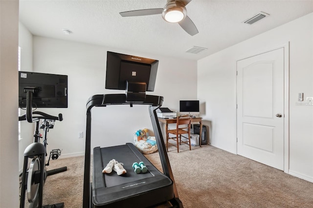 exercise room with ceiling fan, carpet flooring, and a textured ceiling