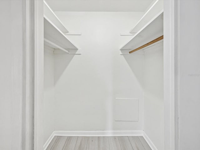 spacious closet with wood-type flooring