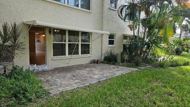 rear view of house featuring a patio and a yard