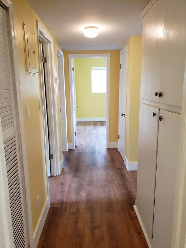 hall featuring dark hardwood / wood-style floors