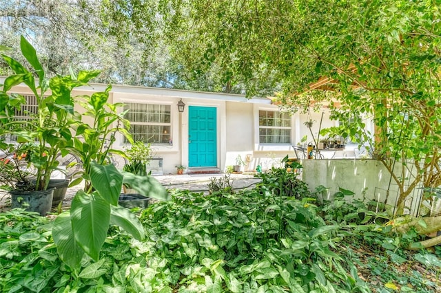 doorway to property with stucco siding