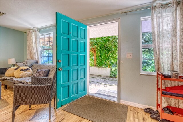 entrance foyer featuring light hardwood / wood-style floors and a healthy amount of sunlight