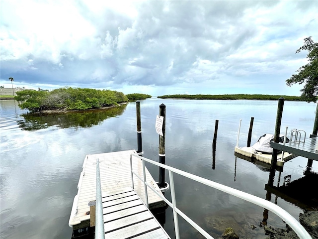 dock area with a water view