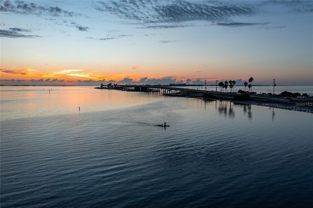 property view of water