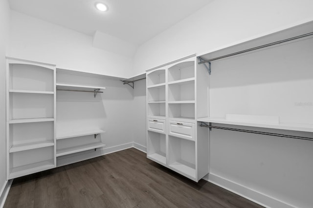 spacious closet with dark hardwood / wood-style flooring