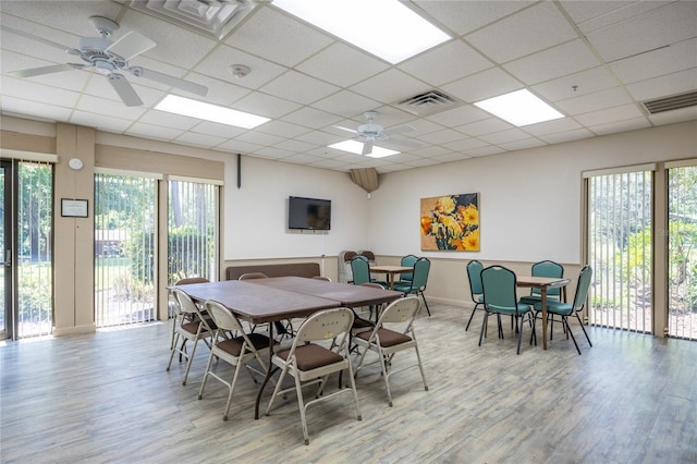 dining space with ceiling fan, a drop ceiling, and light hardwood / wood-style flooring