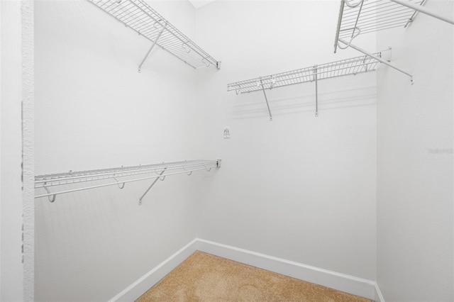 spacious closet with carpet