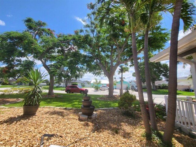 3912 Fontainebleau Dr, Tampa, FL 33634 - view of yard