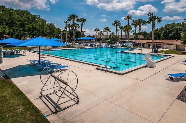 view of pool with a patio area