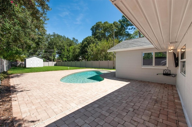 view of swimming pool with a yard, a patio, and a storage unit