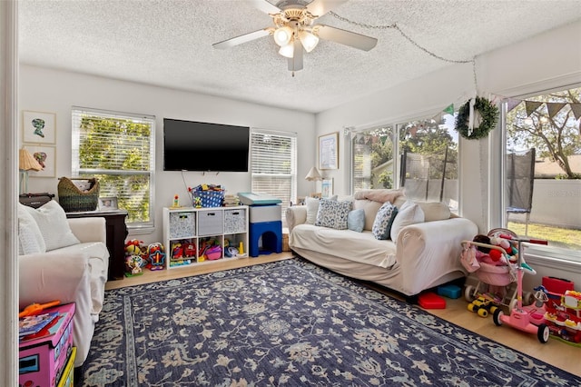 living room with a textured ceiling and wood-type flooring