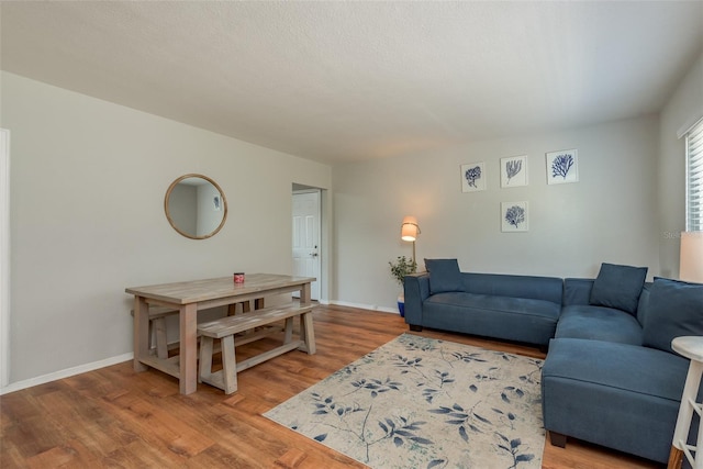 living room with wood-type flooring