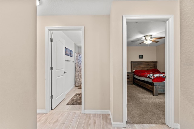 hall featuring light colored carpet