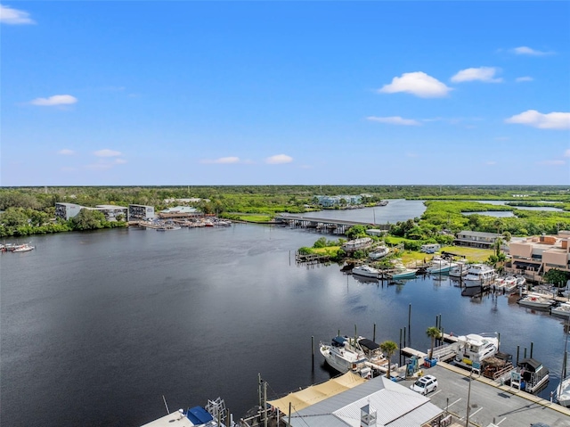 view of water feature featuring a boat dock