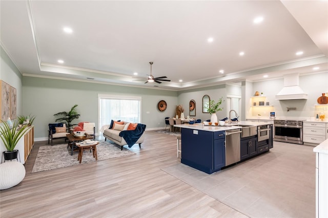 kitchen with stainless steel appliances, premium range hood, a tray ceiling, and light countertops