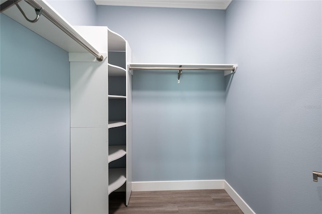 walk in closet featuring wood finished floors