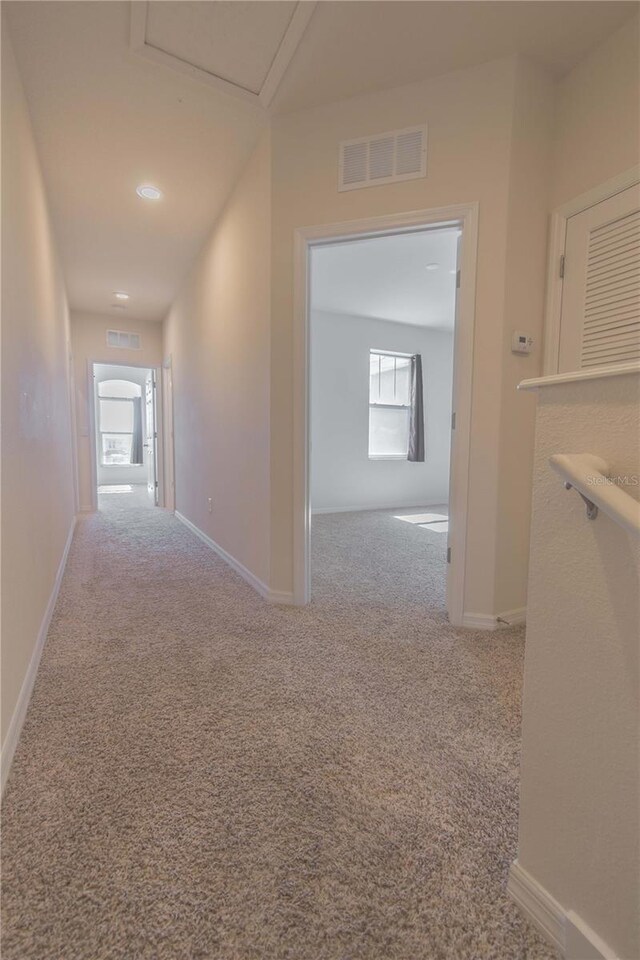 hallway with carpet floors and a healthy amount of sunlight