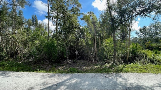 12665 Easha Blvd, Punta Gorda, FL 33955