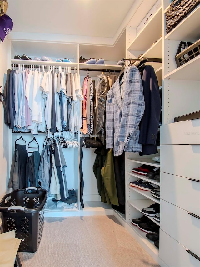 walk in closet featuring carpet floors