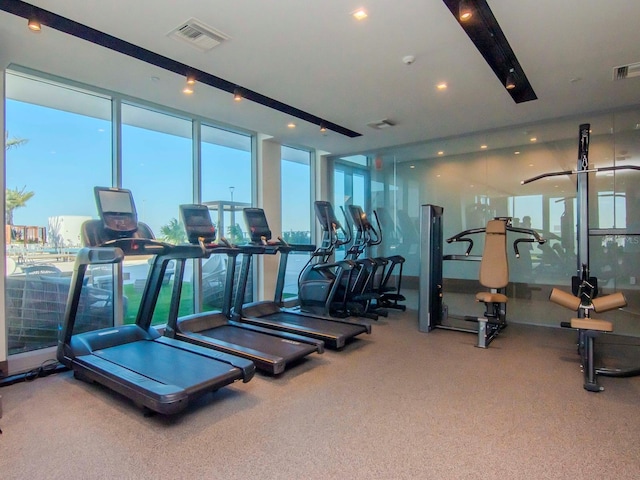 workout area featuring carpet floors and a healthy amount of sunlight