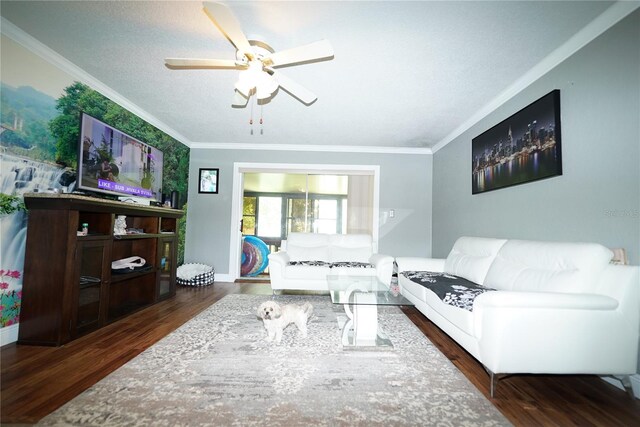 living room featuring crown molding, a textured ceiling, ceiling fan, and dark hardwood / wood-style floors