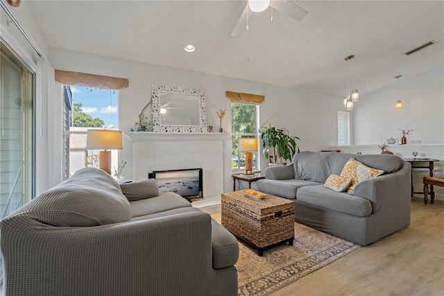 living room with plenty of natural light, a textured ceiling, and light wood-type flooring