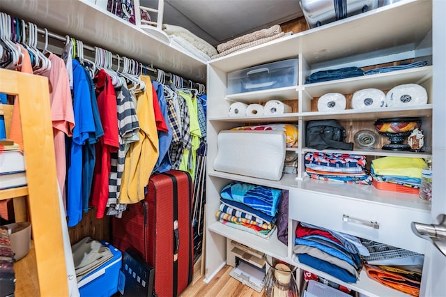 view of walk in closet