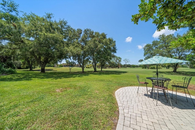 view of yard featuring a patio