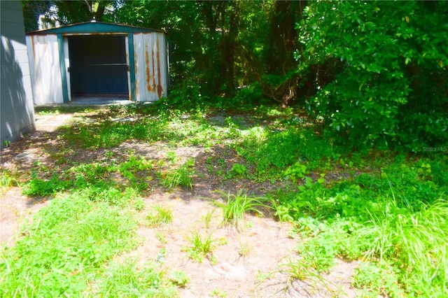 view of yard featuring a storage shed