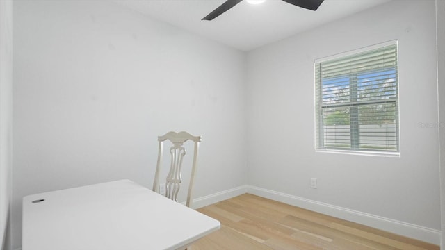 office space with ceiling fan and light hardwood / wood-style floors