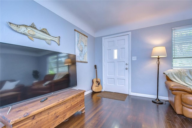 entrance foyer featuring hardwood / wood-style floors