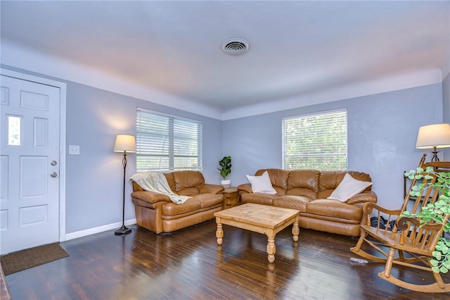 living room featuring wood-type flooring