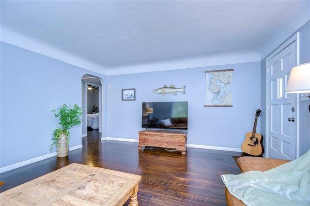 living room featuring dark hardwood / wood-style floors