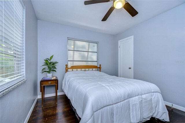 bedroom featuring ceiling fan, dark wood-type flooring, and multiple windows