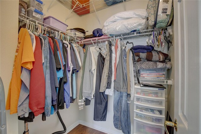 spacious closet with wood-type flooring