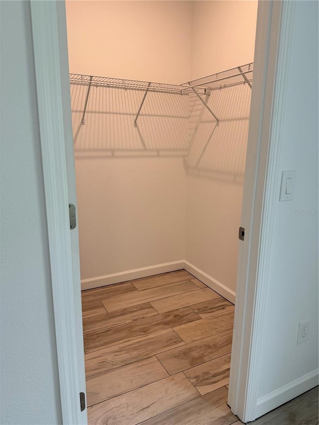 walk in closet with wood-type flooring