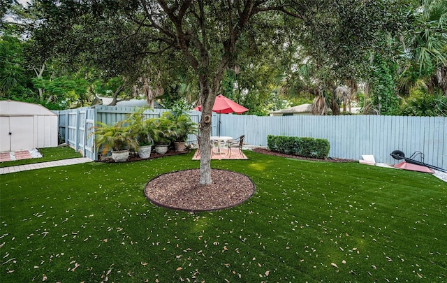 view of yard featuring a storage unit and a patio