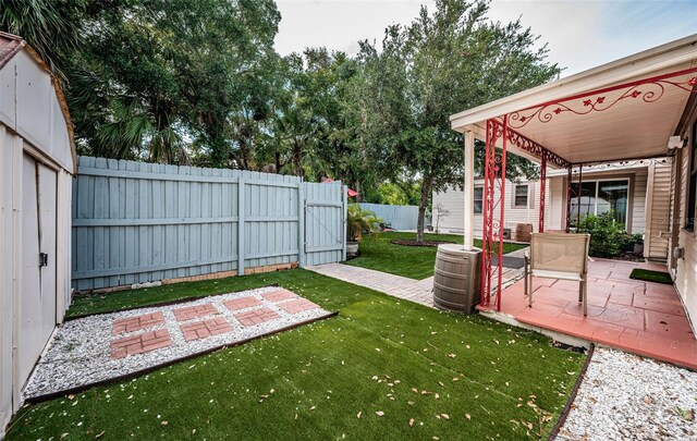 view of yard featuring a patio area