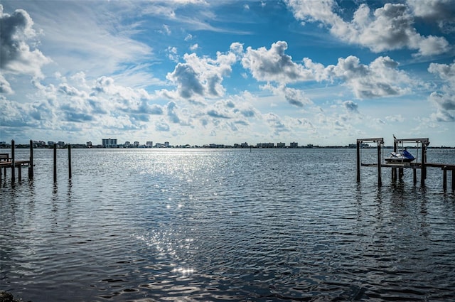 dock area with a water view