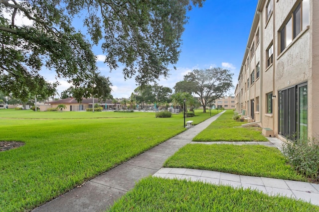 view of community with a yard