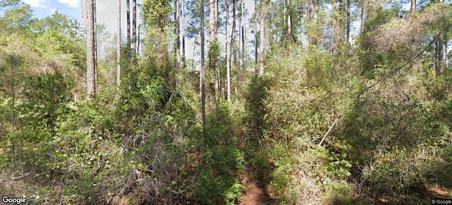 202 SE 4th St, Georgetown FL, 32139 land for sale