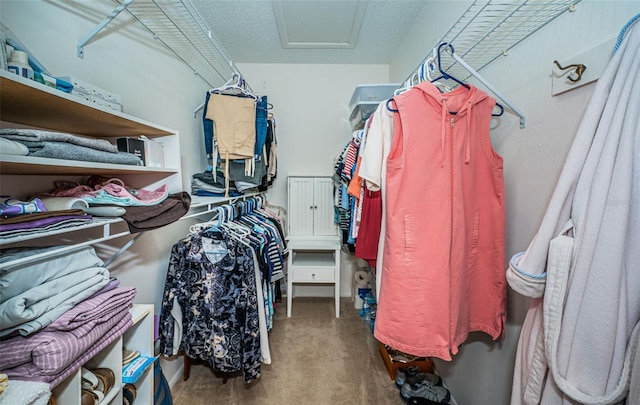 walk in closet with carpet