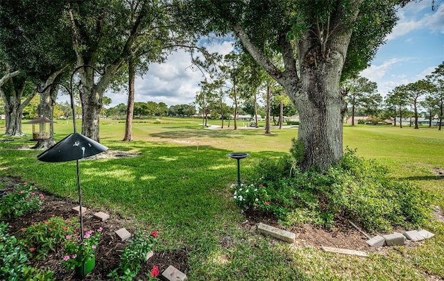 view of home's community featuring a lawn