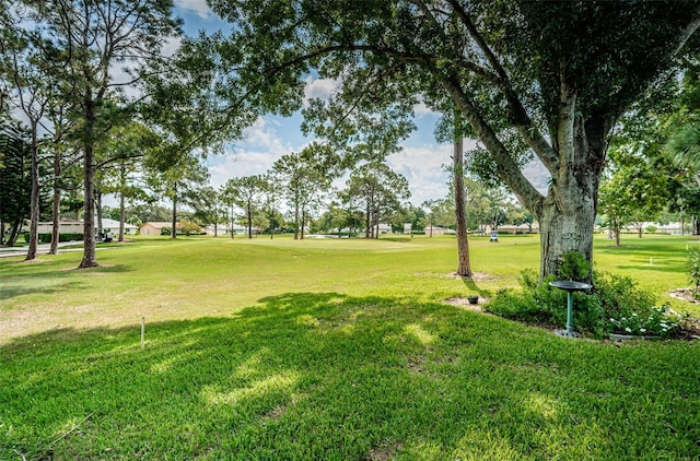 view of community with a lawn