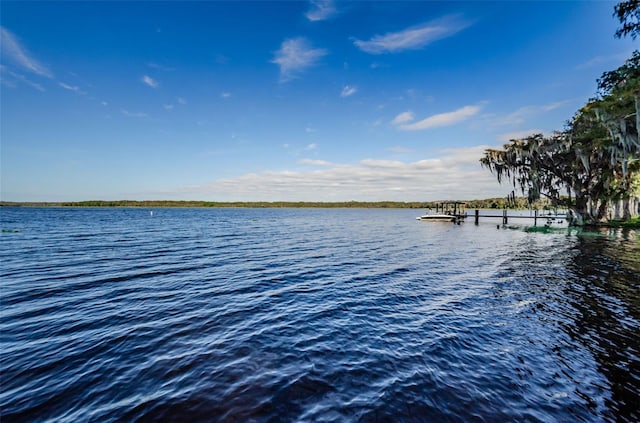 view of water feature with a boat dock