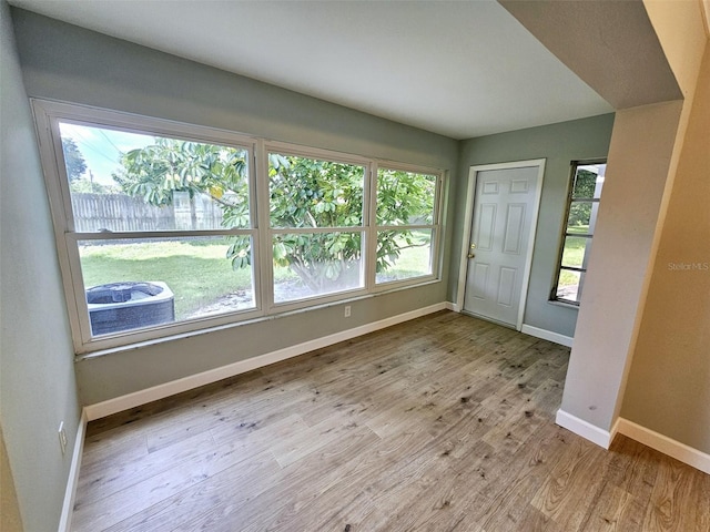 foyer entrance with light hardwood / wood-style floors and a healthy amount of sunlight