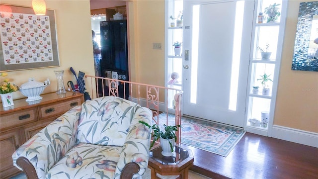 entrance foyer featuring hardwood / wood-style flooring and a healthy amount of sunlight